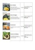 variétés courges-4.jpg
